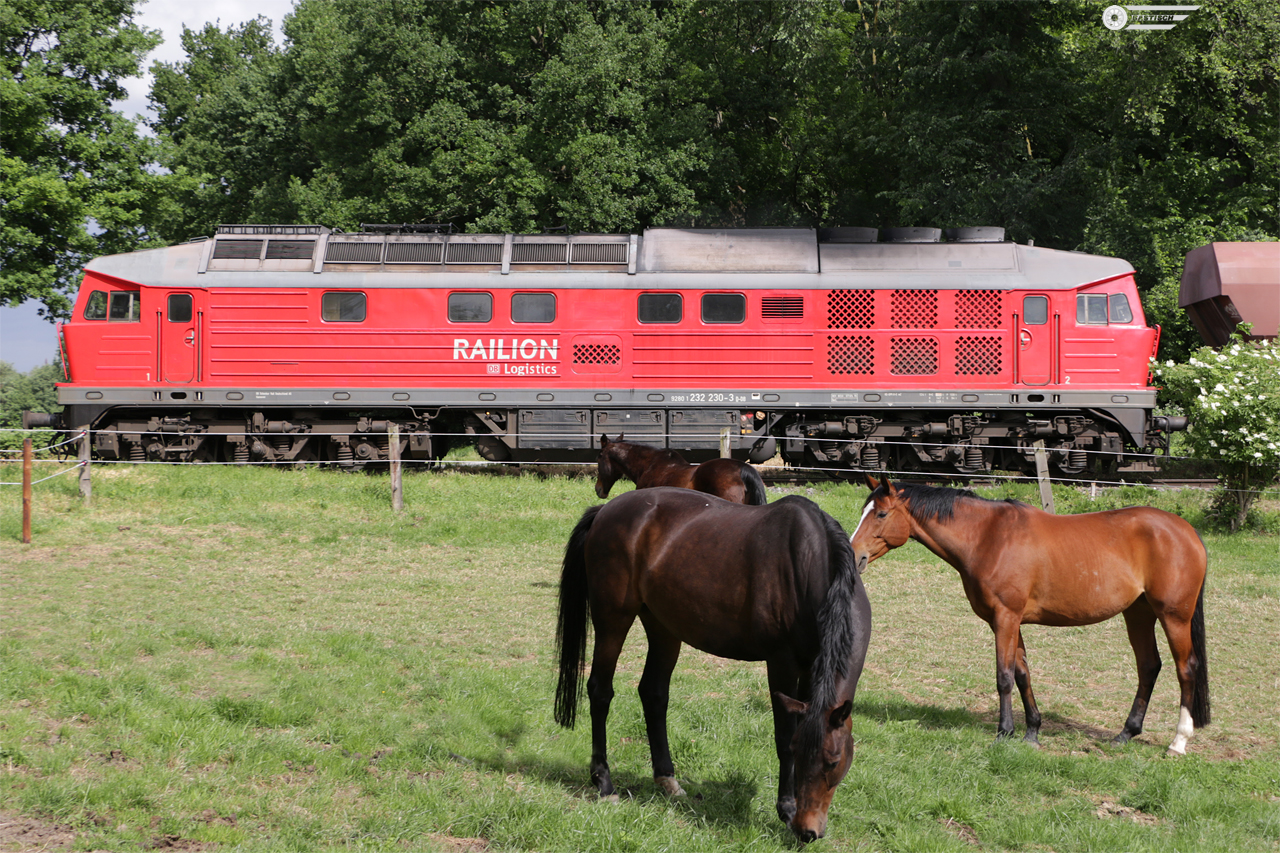 http://www.bahn-um-ratingen.de/2019/190608_232230_breitseite.jpg